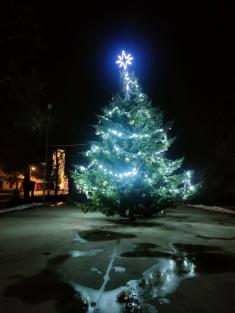 Vánoční strom 2021